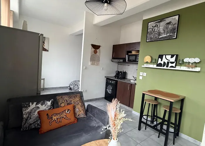 Apartment Le Savane - Hypercentre - Parking - Metro - Wifi - Netflix